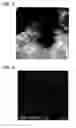 Fig. 04 - Transition metal-containing catalysts and processes for their preparation and use as oxidation and dehydrogenation catalysts