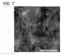 Fig. 05 - Transition metal-containing catalysts and processes for their preparation and use as oxidation and dehydrogenation catalysts