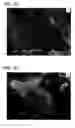 Fig. 22 - Transition metal-containing catalysts and processes for their preparation and use as oxidation and dehydrogenation catalysts
