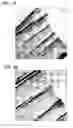 Fig. 26 - Transition metal-containing catalysts and processes for their preparation and use as oxidation and dehydrogenation catalysts