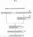 Fig. 02 - Method for mapping higher brain function and headgear for mapping higher brain function