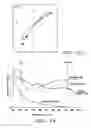 Fig. 22 - Method for noninvasive continuous determination of physiologic characteristics