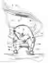 Fig. 01 - Apparatus for performing assess-press-pull massaging