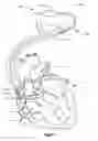 Fig. 02 - Apparatus for guide catheter positioning
