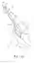 Fig. 12 - Minimally invasive orthopaedic apparatus and methods
