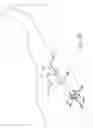 Fig. 22 - Method and apparatus for performing a minimally invasive total hip arthroplasty