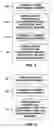Fig. 03 - Methods for identifying patients at risk for life threatening arrhythmias