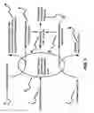 Fig. 02 - Apparatus and method for hypothermia and rewarming by altering the temperature of the cerebrospinal fluid in the brain