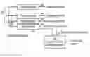 Fig. 01 - Method and device for data integrity checking