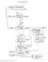Fig. 15 - Method and system for measuring web site impact