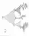 Fig. 07 - Business analysis and management systems utilizing emergent structures