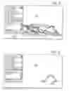 Fig. 09 - Business analysis and management systems utilizing emergent structures
