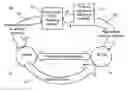 Fig. 01 - System and method for multiple currency transactions
