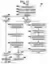 Fig. 10 - Fast searching of list for IP filtering