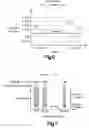 Fig. 04 - Method and system for automated visual comparison based on user drilldown sequences