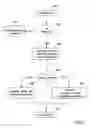 Fig. 06 - Asynchronous mirroring in a storage area network