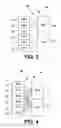 Fig. 03 - Power distribution system utilizing redundant AC sources or DC sources