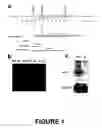 Fig. 02 - Somatic cells, germ cells and cell lines derived from a PTTG knockout rodent