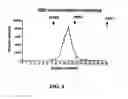 Fig. 07 - Beta-secretase enzyme compositions and methods