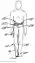 Fig. 01 - Universal chap-style compression stocking