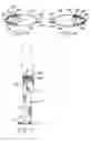 Fig. 03 - Universal chap-style compression stocking