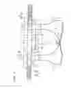 Fig. 04 - Groin protector for combat sports