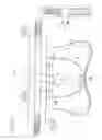 Fig. 08 - Groin protector for combat sports