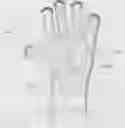 Fig. 02 - Waterproof scrubbing glove