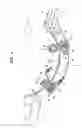Fig. 04 - Automatic opening/closing apparatus for vehicle