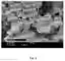 Fig. 06 - Lyophilization method and apparatus for producing particles