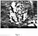 Fig. 07 - Lyophilization method and apparatus for producing particles