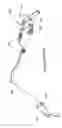 Fig. 17 - Navigable waterfowl retrieving apparatus, retrieving apparatus for waterborne objects, and method for retrieving waterfowl carcasses from a body of water