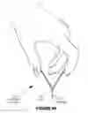 Fig. 06 - Dispensing package