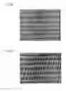 Fig. 17 - Ceramic structure, method of manufacturing ceramic structure, and device for manufacturing ceramic structure