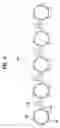 Fig. 05 - Button assembly for electric home appliance and control panel assembly using the same