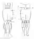 Fig. 01 - Method and outfit for measuring of action of muscles of body