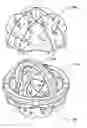 Fig. 01 - Apparatus and method for gyroscopic propulsion