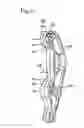 Fig. 09 - Actuation system for a gearbox