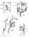 Fig. 03 - Squirrel house