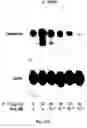 Fig. 16 - Polymer compositions and methods for their use