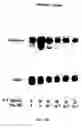 Fig. 22 - Polymer compositions and methods for their use