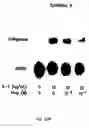 Fig. 23 - Polymer compositions and methods for their use