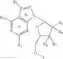 Fig. 45 - Polymer compositions and methods for their use