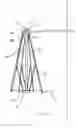 Fig. 03 - Tree mounted umbrella assembly and method of application