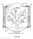 Fig. 09 - Fruit harvester