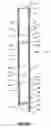 Fig. 02 - Ribbed sealing element and method of use