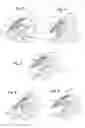 Fig. 04 - Mud debris diverter for earth-boring bit