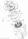 Fig. 06 - Hydraulically controlled torque coupling device