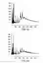 Fig. 06 - Porous media