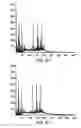Fig. 07 - Porous media